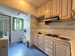 Surrey Road (D11), Condominium #562921761